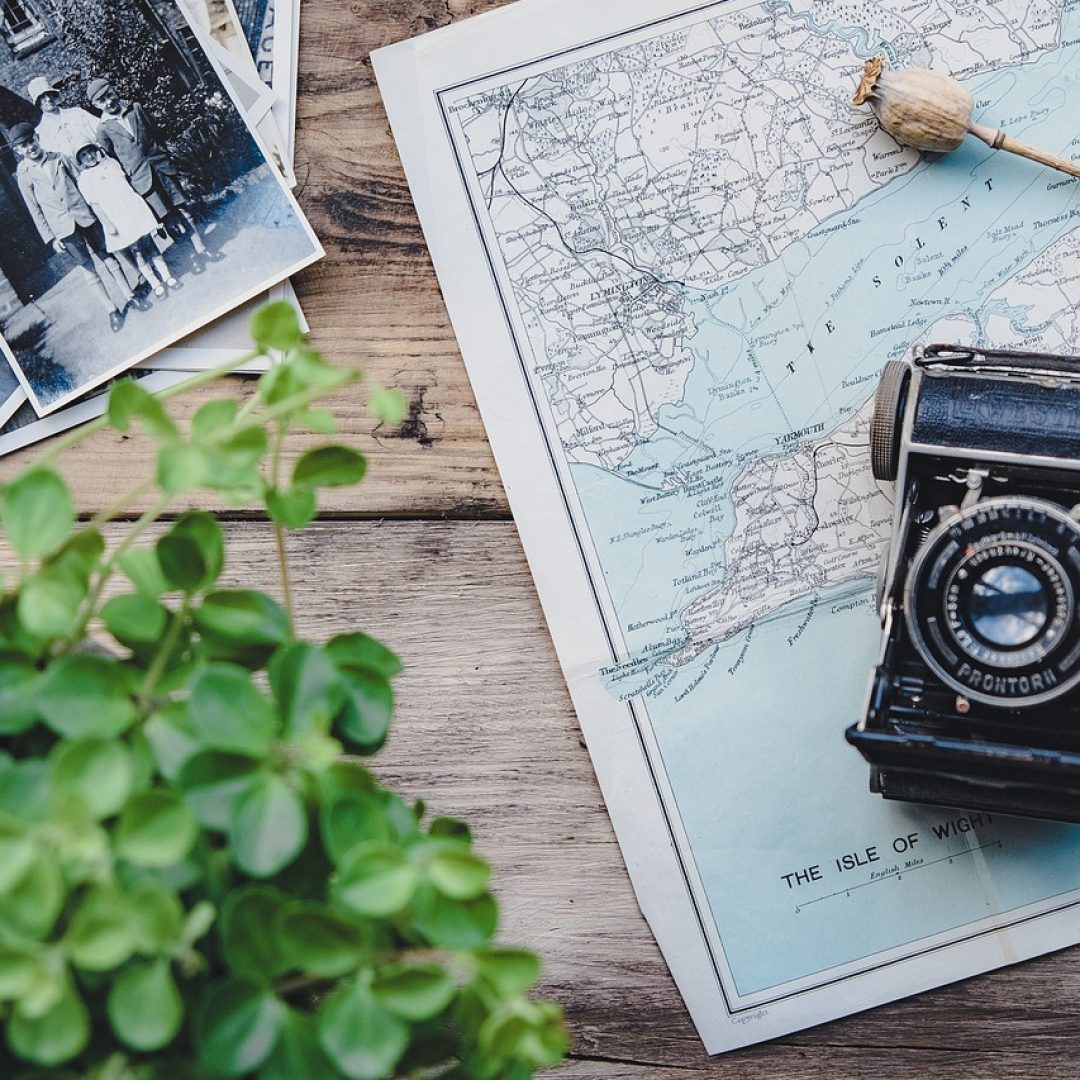 camera, vintage, map, plant, flat lay, retro, photographs, old, old camera, vintage camera, photography, camera, camera, camera, camera, vintage, map, map, nature, map, map, map, flat lay