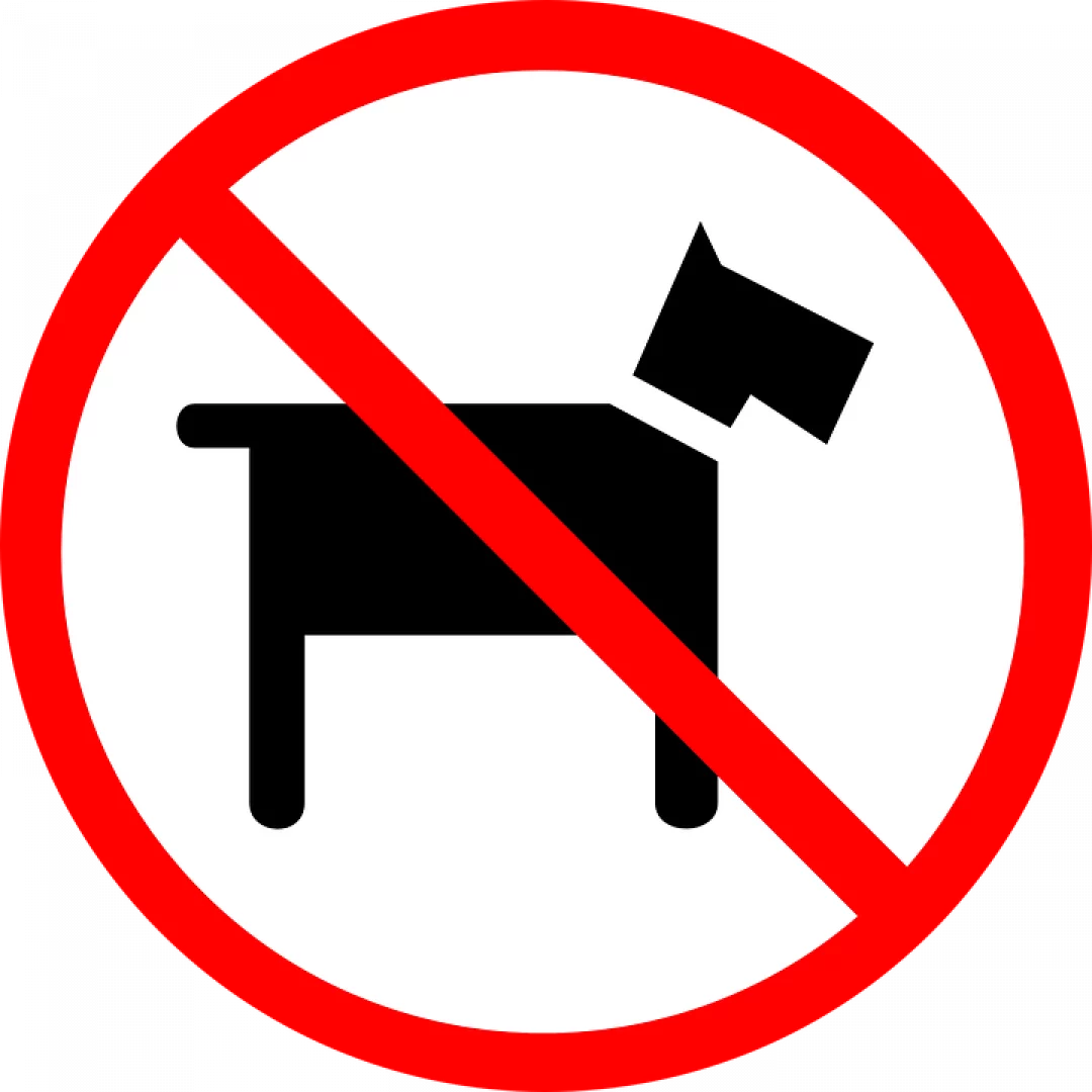 no mascotes 1