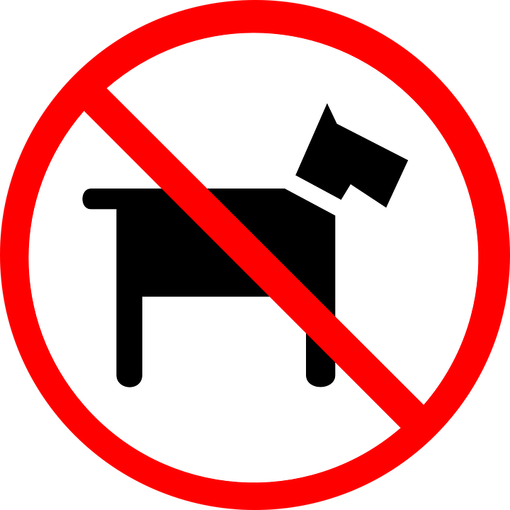 no mascotes 1 no mascotes 1